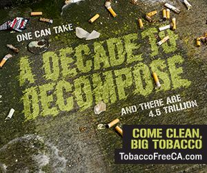 CTCP-ROS-300x250-decade