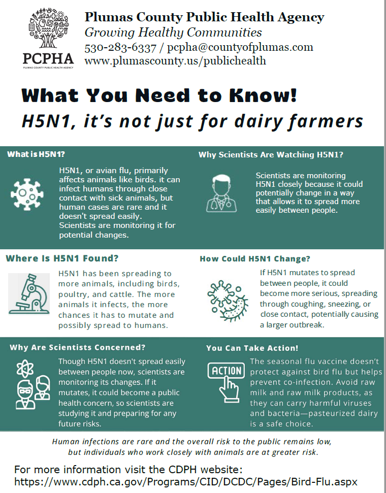 H5N1 What you need to know