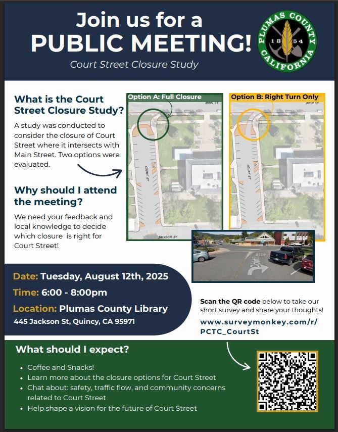 Flyer - Court Street Closure