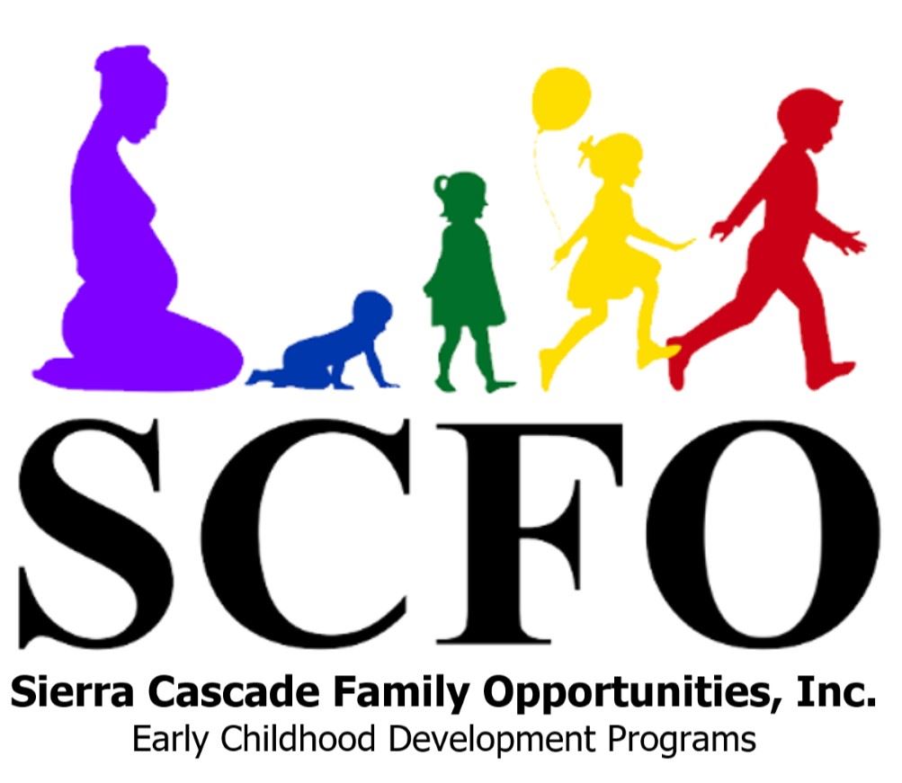 SCFO Logo Opens in new window