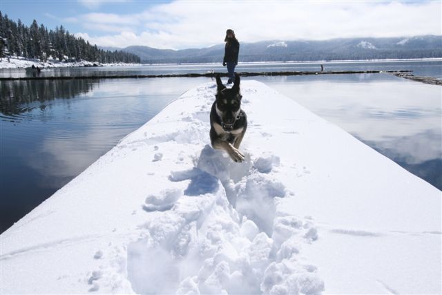Snow at Lake Almanor